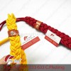 Dây Chiến Thắng - Dây biểu chương